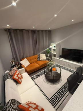Luxury cozy modern flat